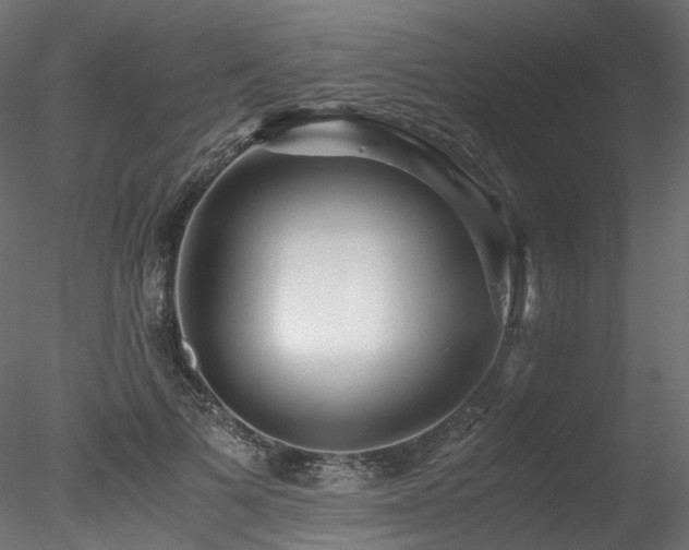 X0000078280697200611031209