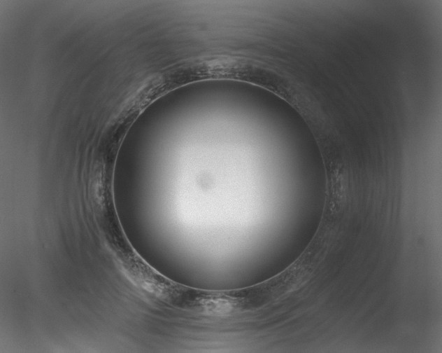 X0000078280698200611031209