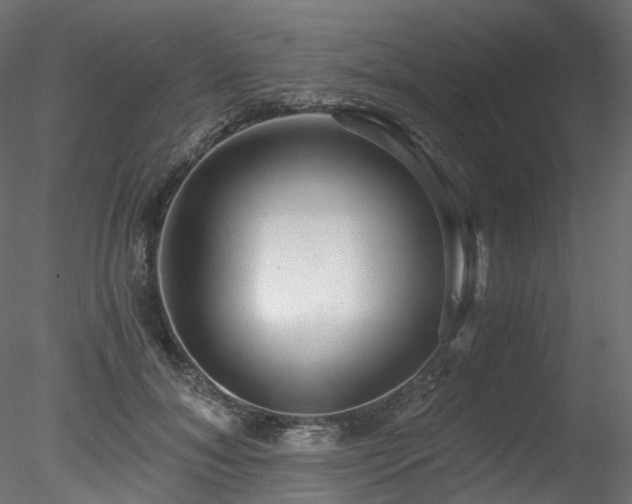 X0000078280700200611031209