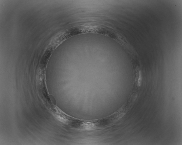 X0000078280701200611031208