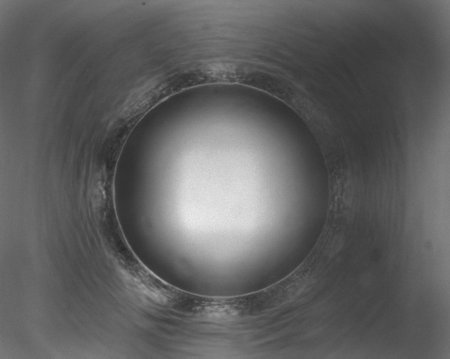 X0000078280702200611031208