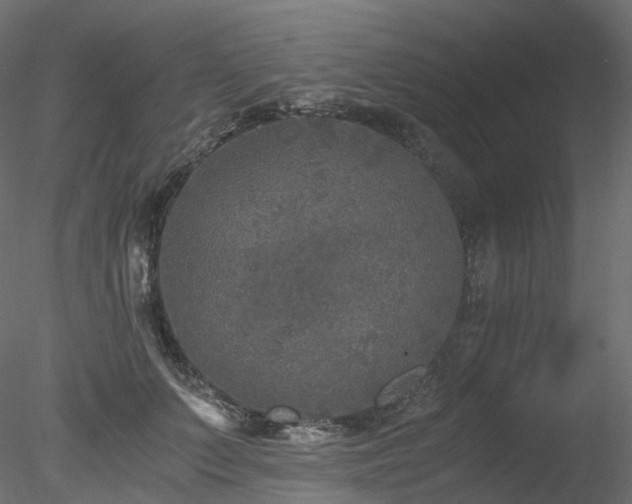 X0000078280703200611031208