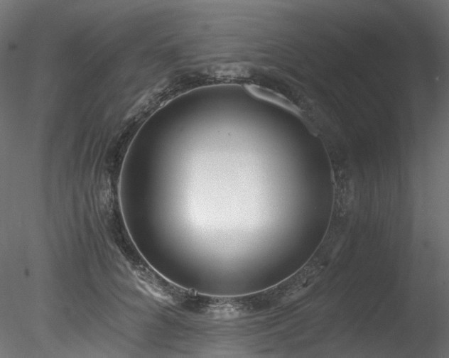 X0000078280704200611031208