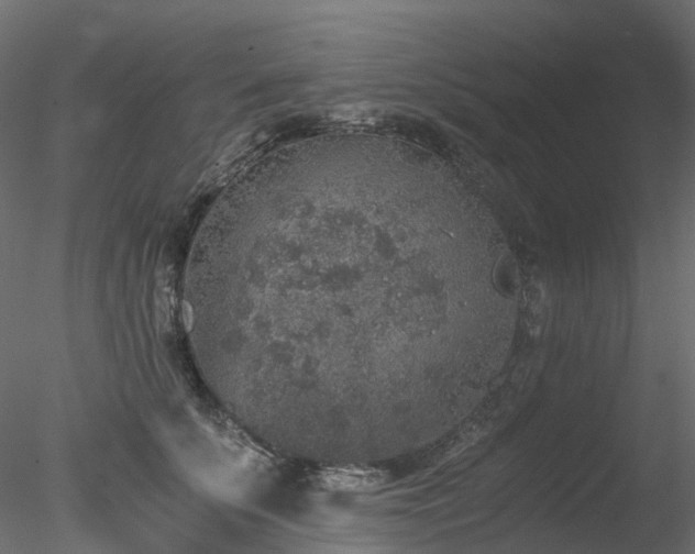 X0000078280707200611031208