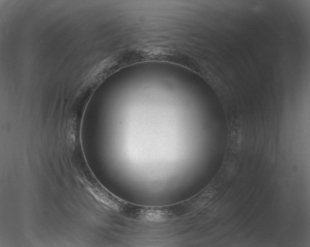 X0000078280710200611031208