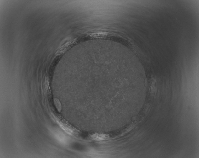 X0000078280711200611031208