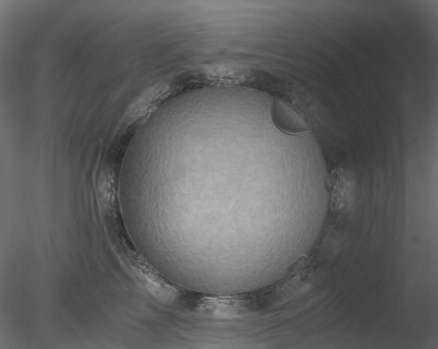 X0000078280713200611031208