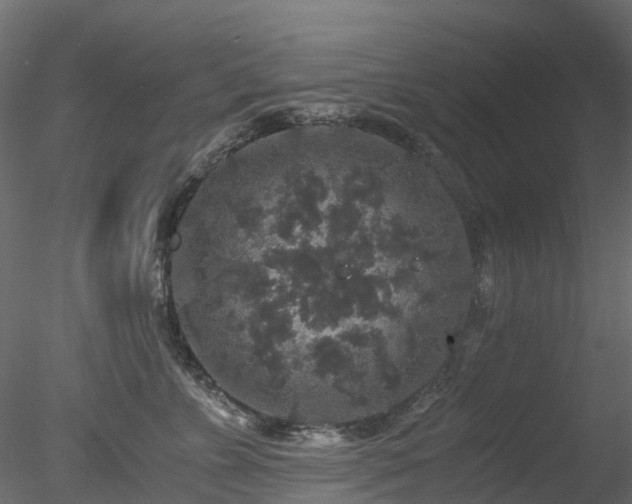 X0000078280715200611031208