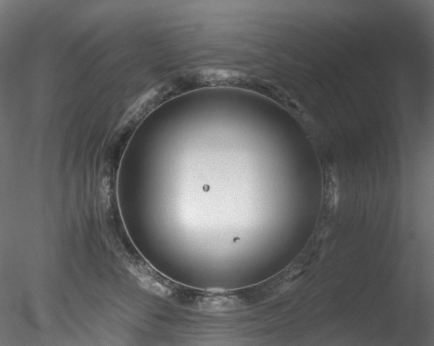 X0000078280716200611031208