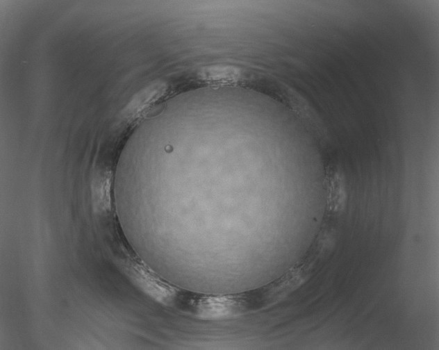 X0000078280717200611031208