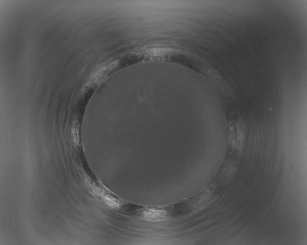 X0000078280718200611031208