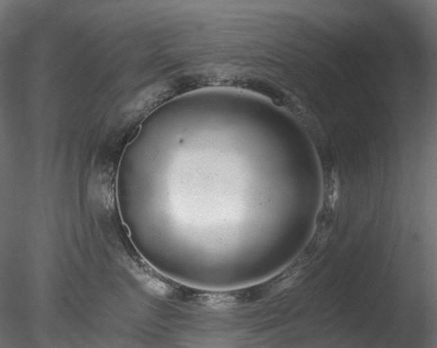 X0000078280719200611031208