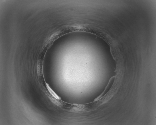 X0000078280720200611031208