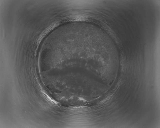 X0000078280721200611031207