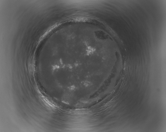 X0000078280722200611031207