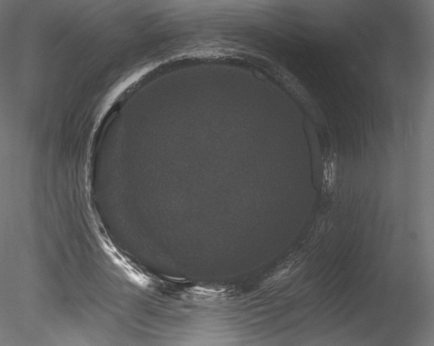 X0000078280724200611031207