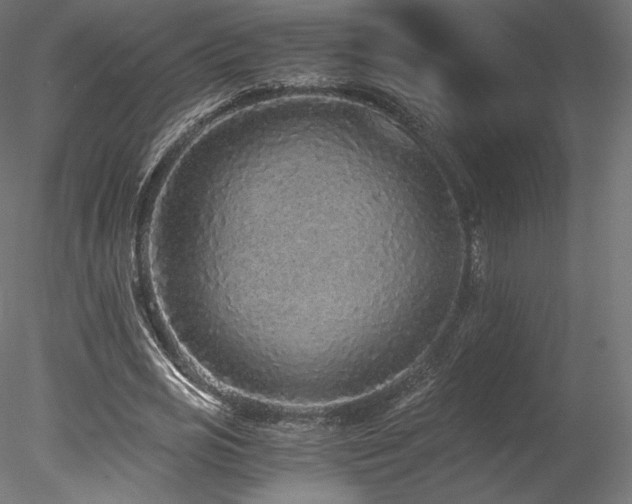 X0000078280725200611031207