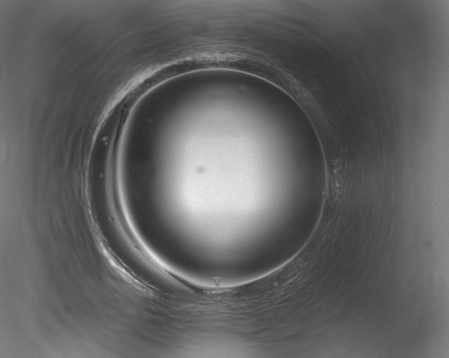 X0000078280726200611031207