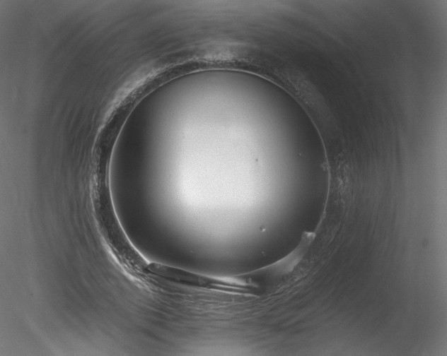 X0000078280728200611031207