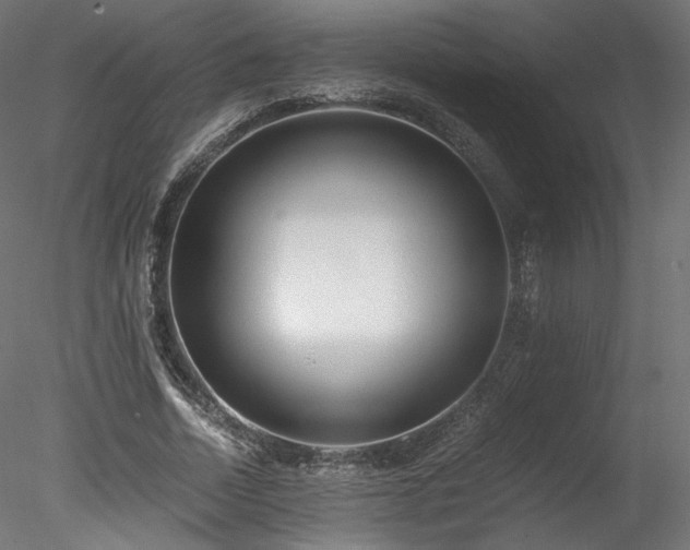 X0000078280730200611031207