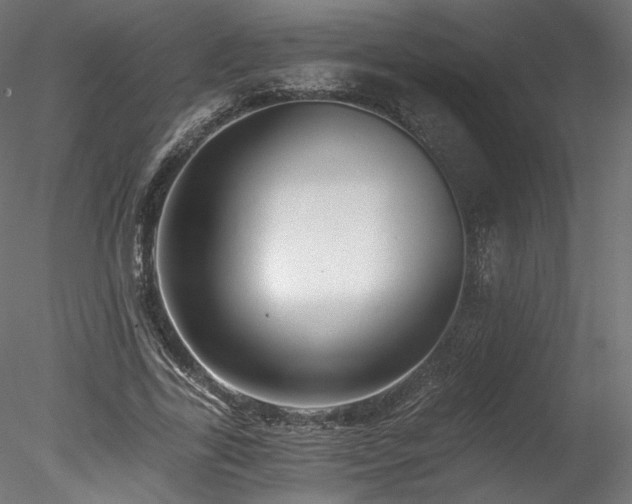 X0000078280731200611031208