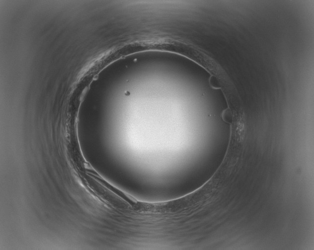 X0000078280732200611031208