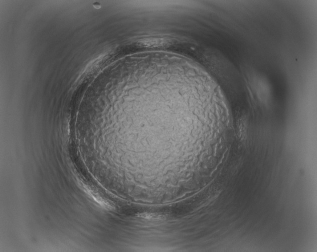 X0000078280733200611031208