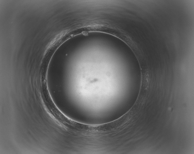 X0000078280734200611031208