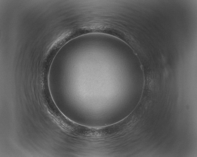 X0000078280735200611031208