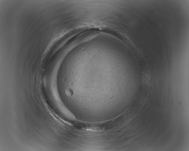 X0000078280736200611031208