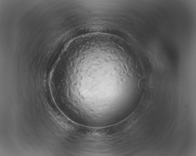 X0000078280737200611031208