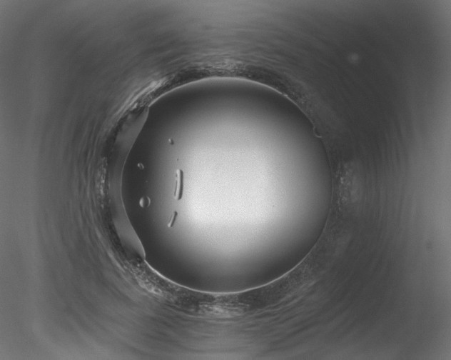 X0000078280739200611031208