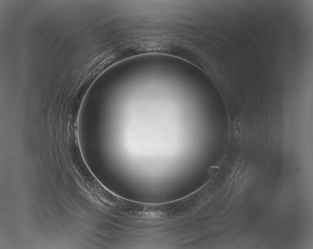 X0000078280741200611031208