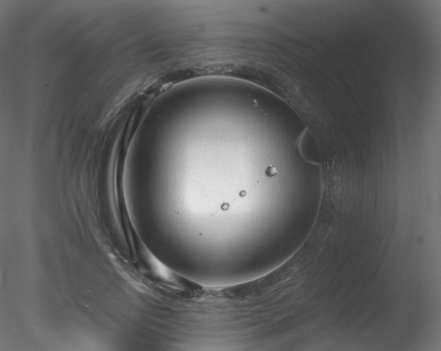 X0000078280742200611031208