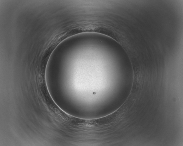 X0000078280743200611031208