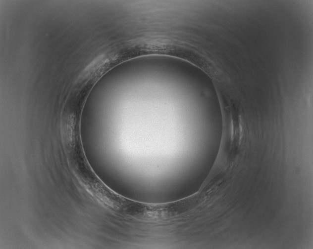 X0000078280744200611031208