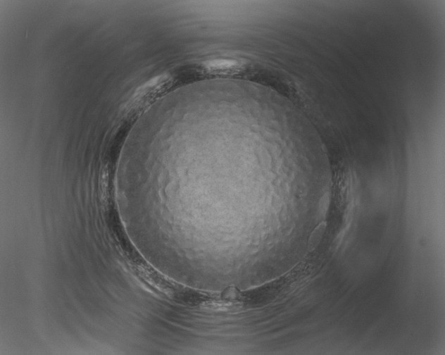 X0000078280745200611031208