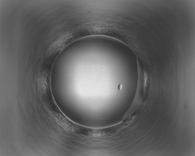 X0000078280746200611031208