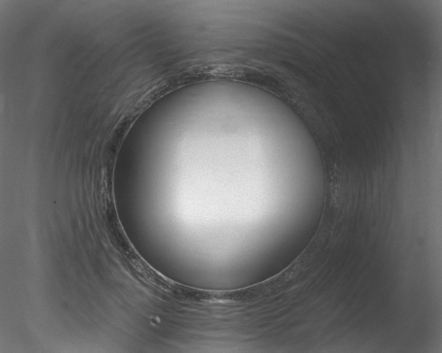 X0000078280748200611031208