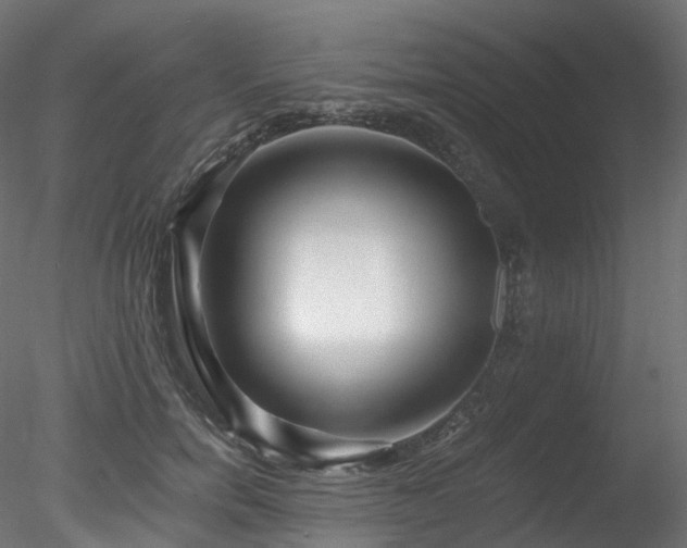 X0000078280750200611031208