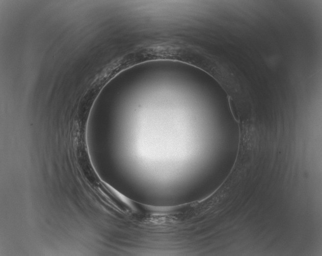 X0000078280752200611031208