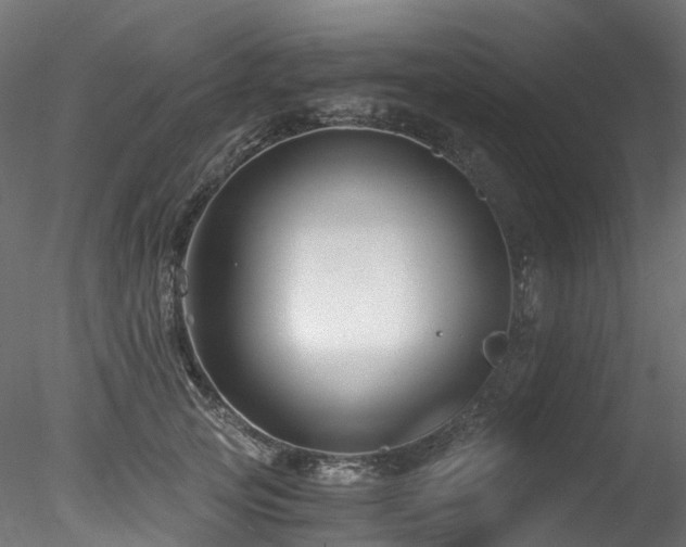 X0000078280753200611031208