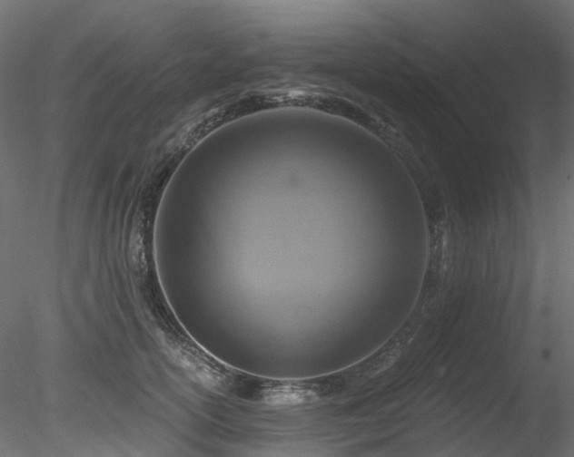 X0000078280754200611031208