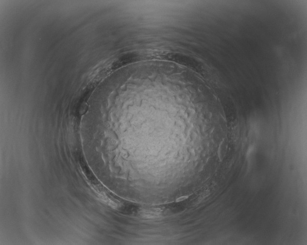 X0000078280757200611031208