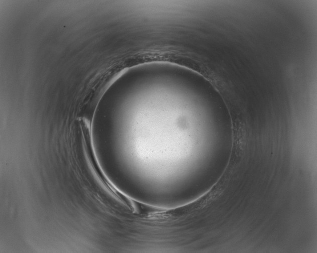 X0000078280758200611031208