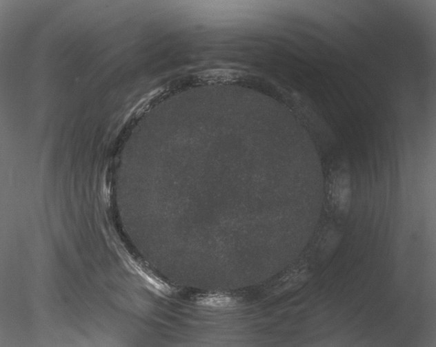 X0000078280759200611031208