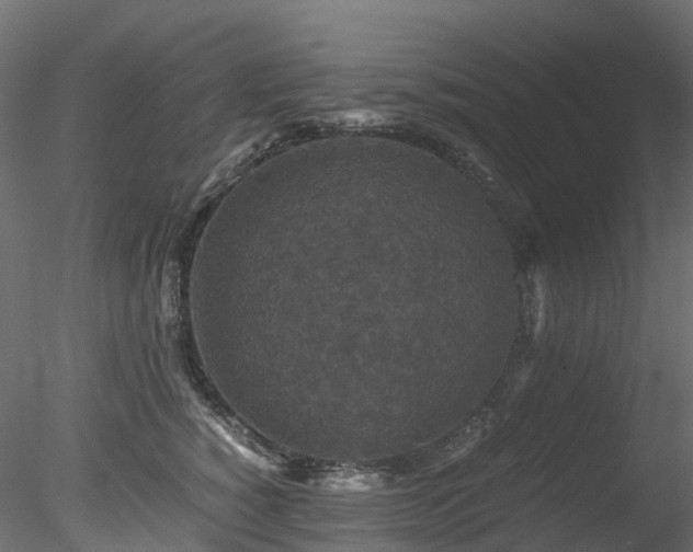 X0000078280760200611031208