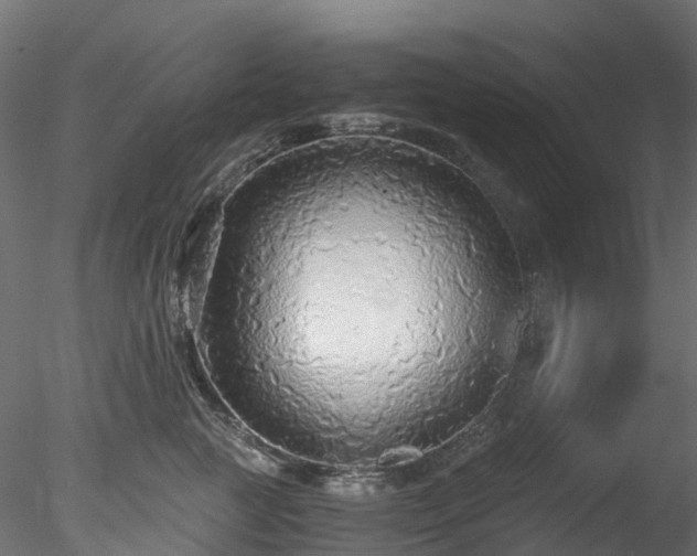 X0000078280761200611031208