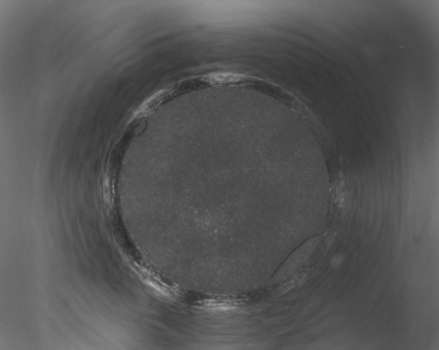 X0000078280763200611031208