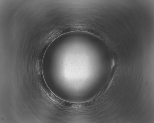 X0000078280764200611031208